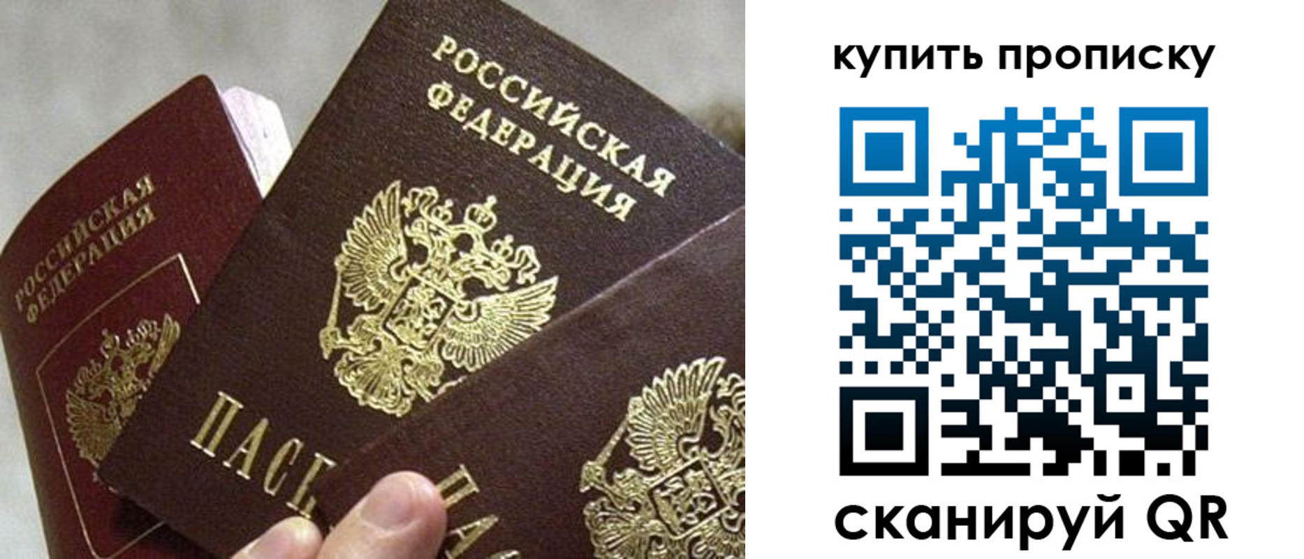 прописка для школы в Бронницах